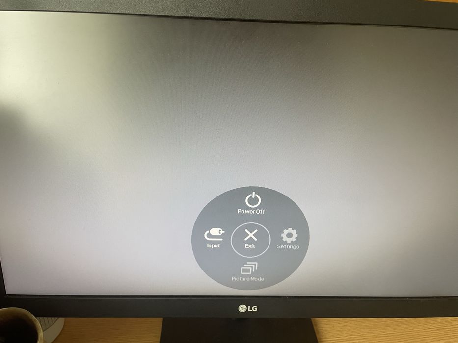 Monitor Lg 20 polegadas477417362435624961