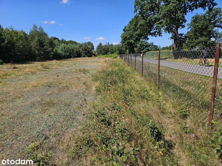 Działka budowlana 3003 m² – Brogi, gm. Dobroń