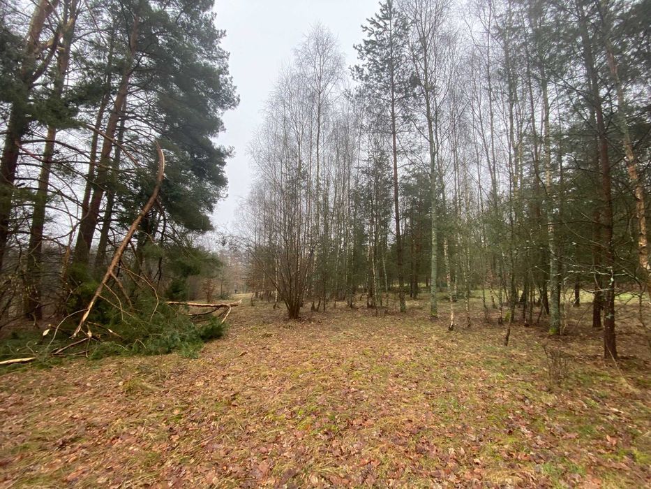 PIękna okolica, blisko jeziora