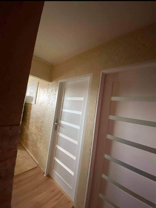 mieszkanie na wynajem (od lutego)