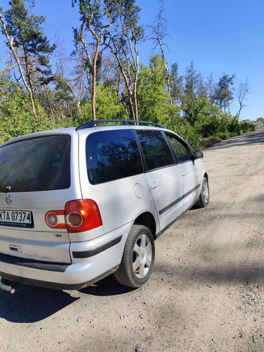 продам Шаран на повному ходу