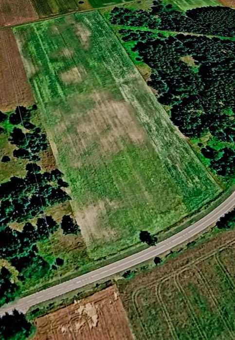 Sprzedam ziemie pod farme fotovoltaiczną.