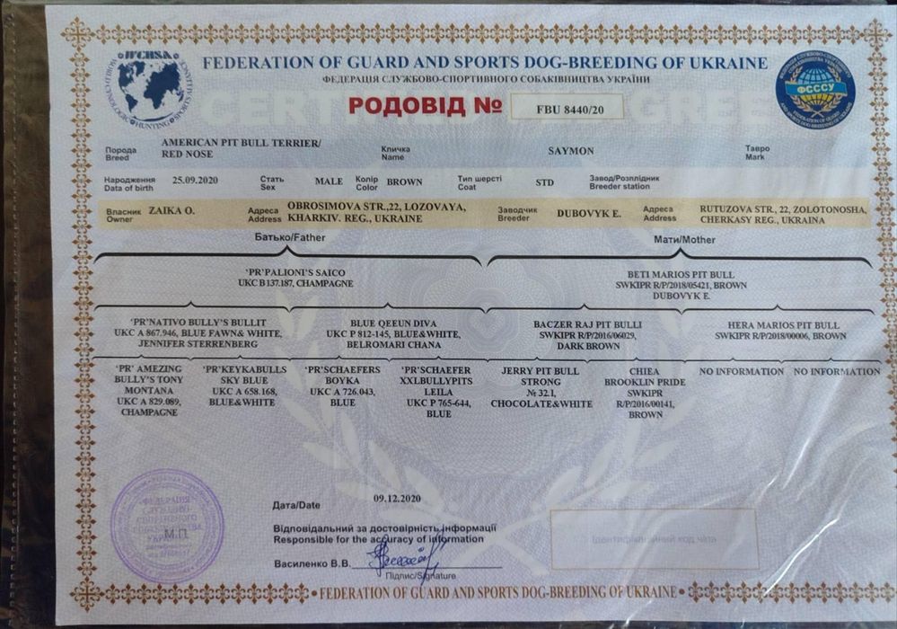 Красень Американський PIT BULL шукає дівчину