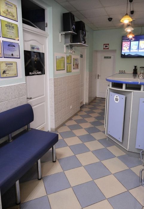 Фітнес клуб "Тонус" / готовий бізнес