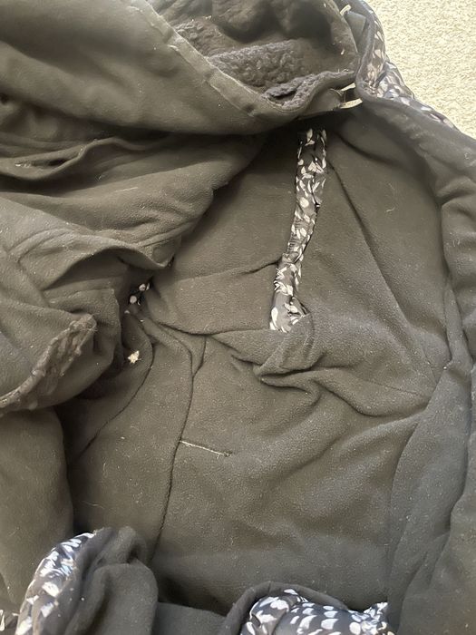 Spiwor spiworek Lodger zimowy 6 miesiecy 3 lata