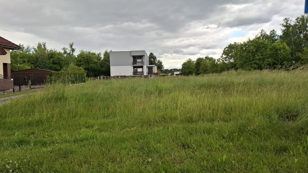 **Oddam do koszenia działkę – 12 arów**