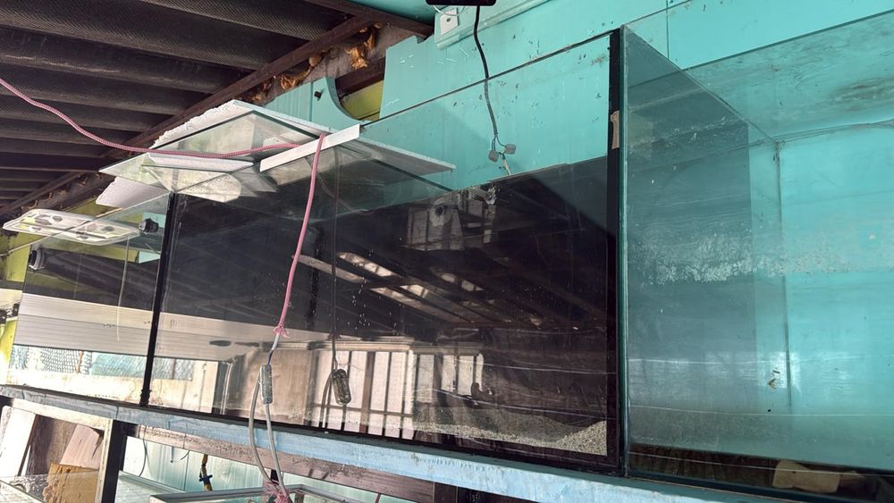 Aquários  para peixes ornamentais