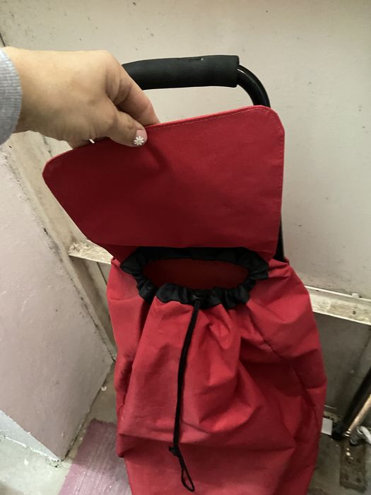 Carrinho de transporte para ir as compras