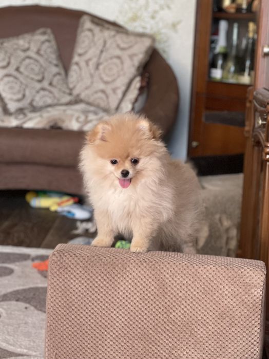 Дівчатка VIP,чекають на вас