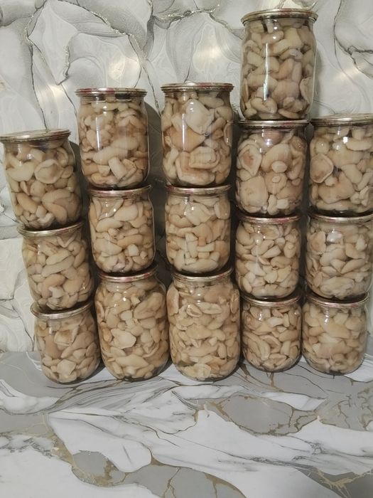 Мариновані гриби маслята,опеньки та білі