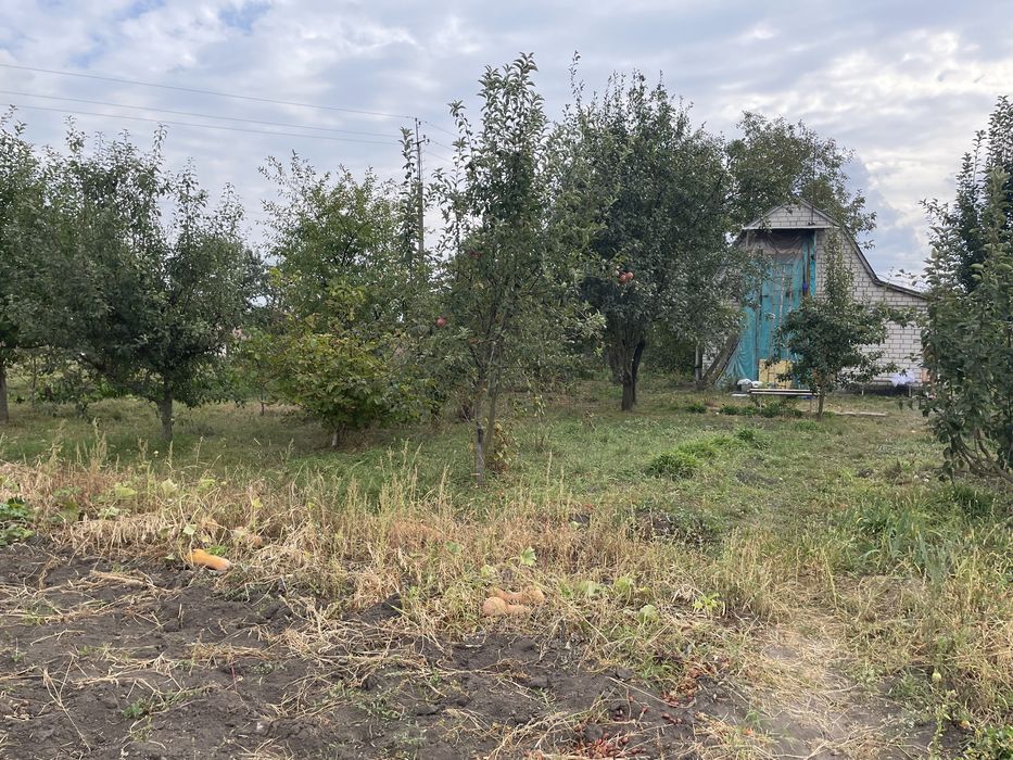 Продам будинок з участком с.Нізгірці