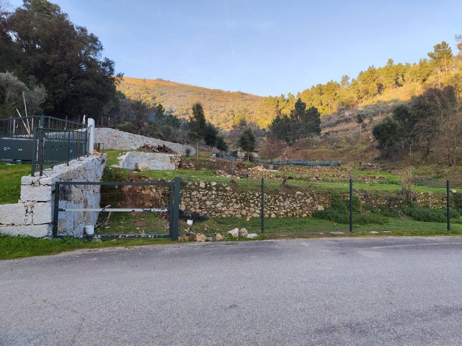 Quinta 3 Hectares Murganheira ( Tarouca )