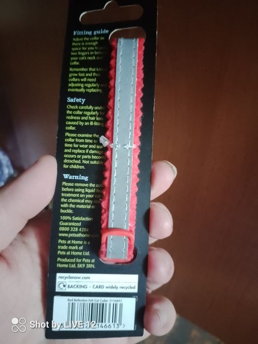 Odblaskowa obroża dla kota z dzwonkiem
