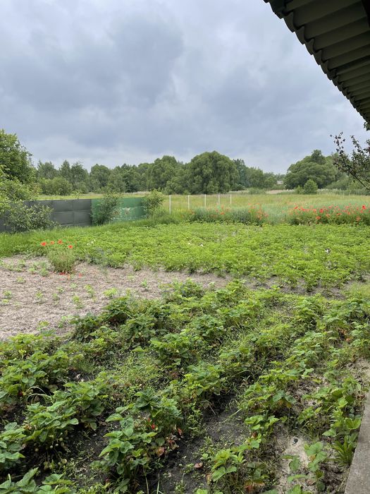 Продаж житлового будинку в с. Іванівка (колишній Малинський р-н)