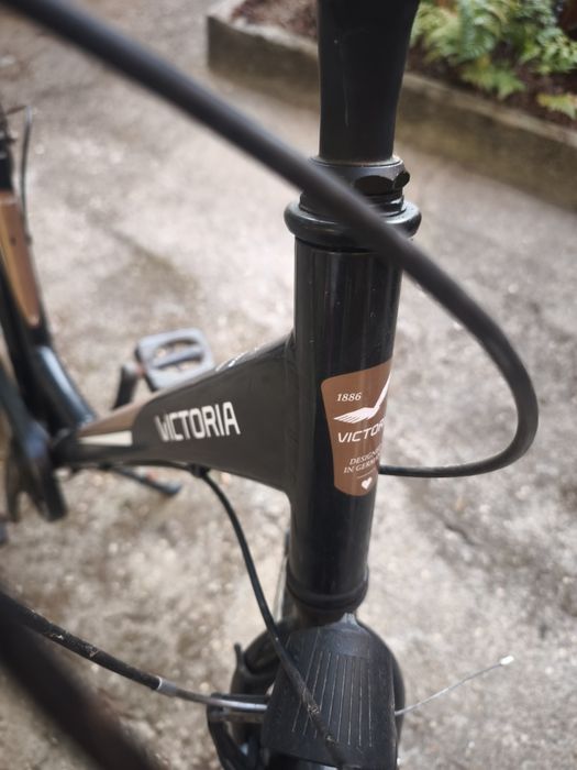 VICTORIA Hoya L6 Trekking