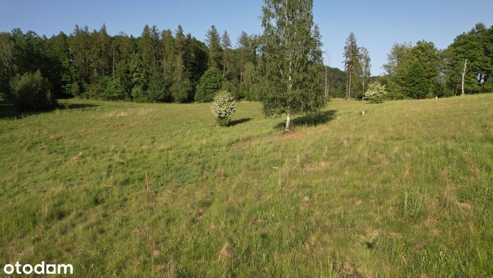 Masz dość miasta? Kup działkę w Górach Bardzkich i odetchnij z ulgą - Więcej
