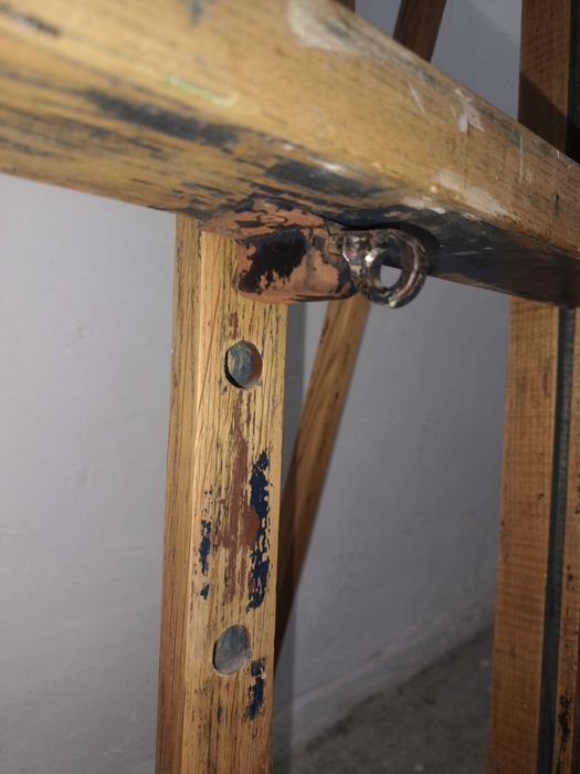 Sztaluga malarska duża