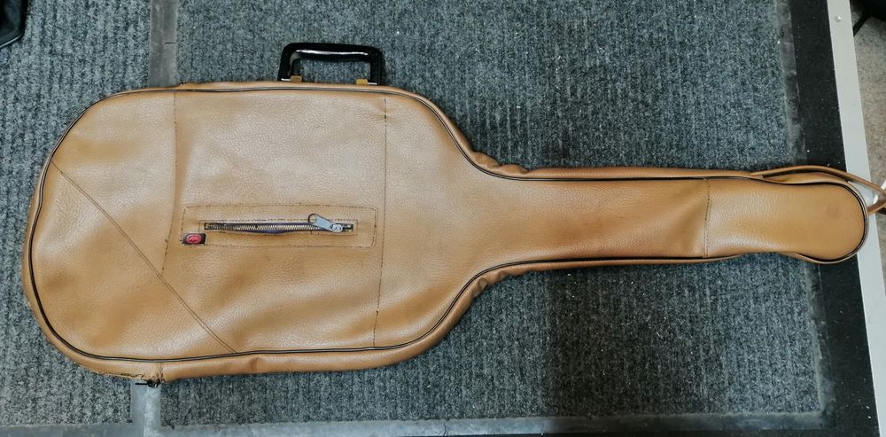 чохол для електрогітари лофт