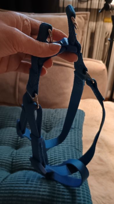 Шлея Тріксі синя M