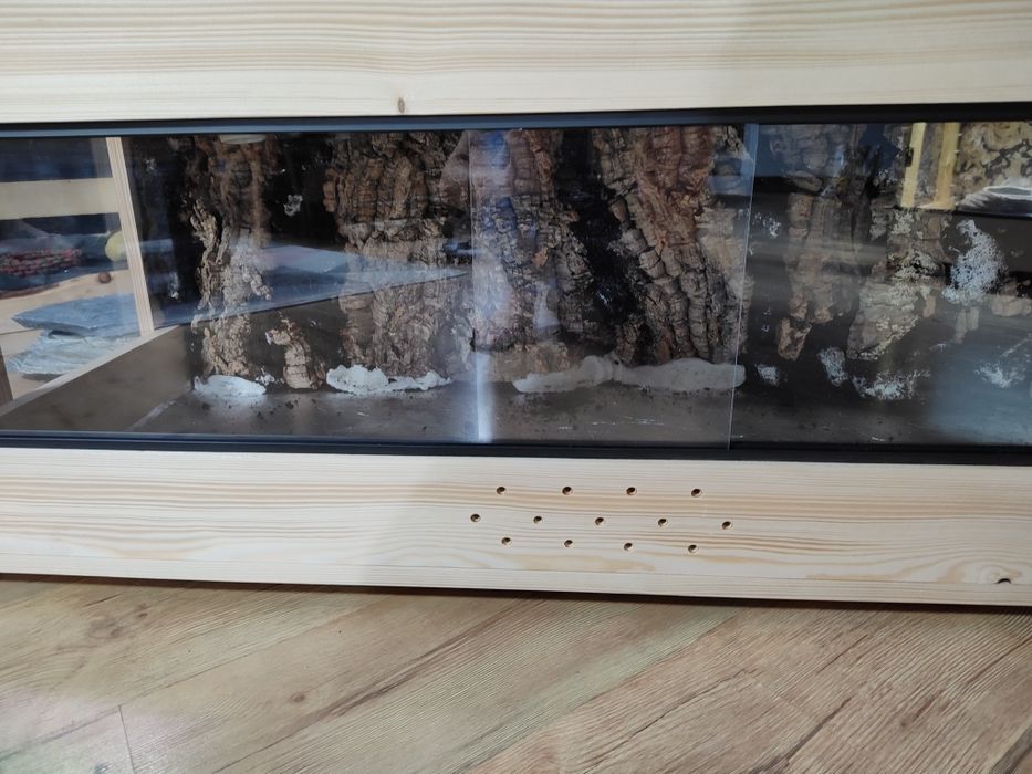 Terrarium drewniane dla agama gekon lamparci wąż