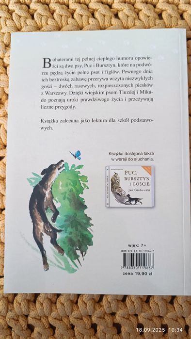 Sprzedam książkę pt. Puc, bursztyn i goście