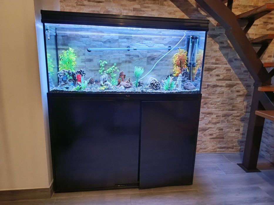 Aquário completo