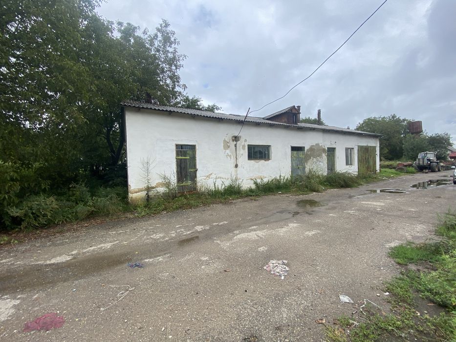 Забійний цех , ферма