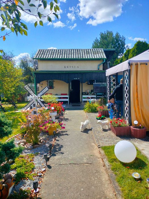 Działka ROD Piła Zalesie