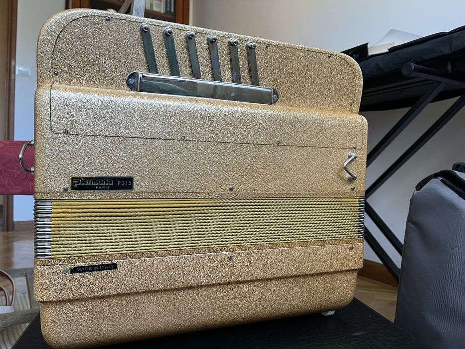 Acordeão Beltuna 60 bx com registos