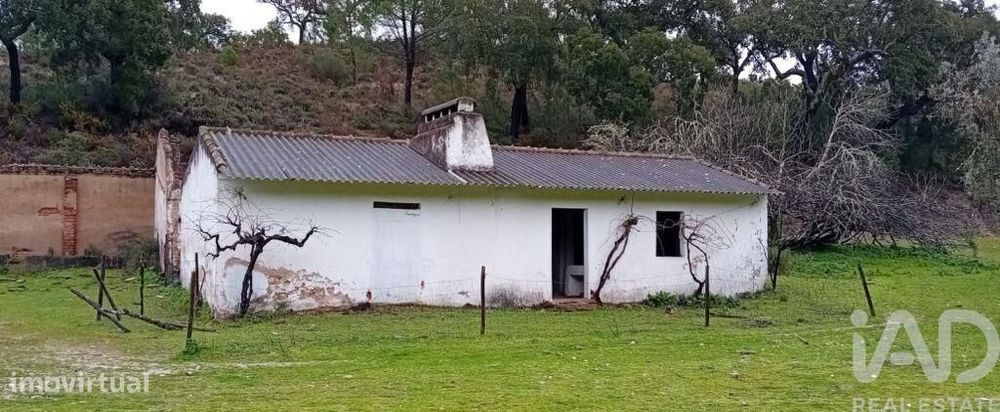 Terreno Agrícola em Galveias