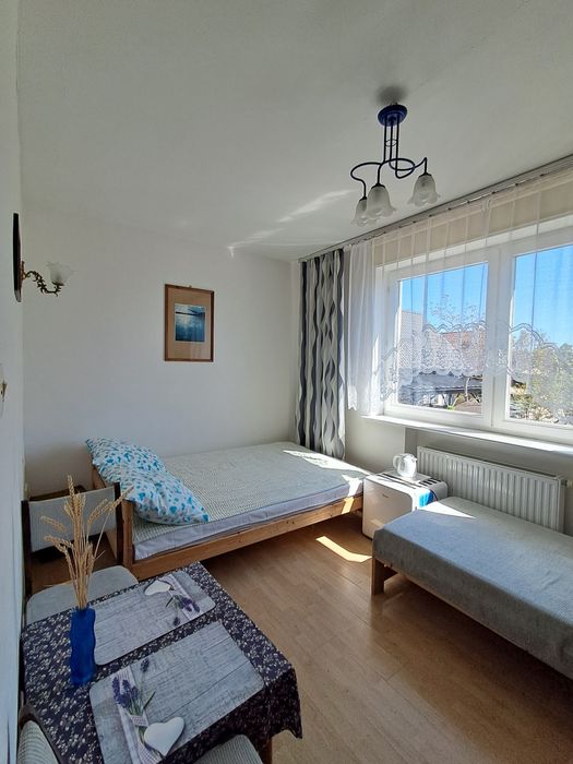 Noclegi  Malbork Tanie pokoje Tulipan