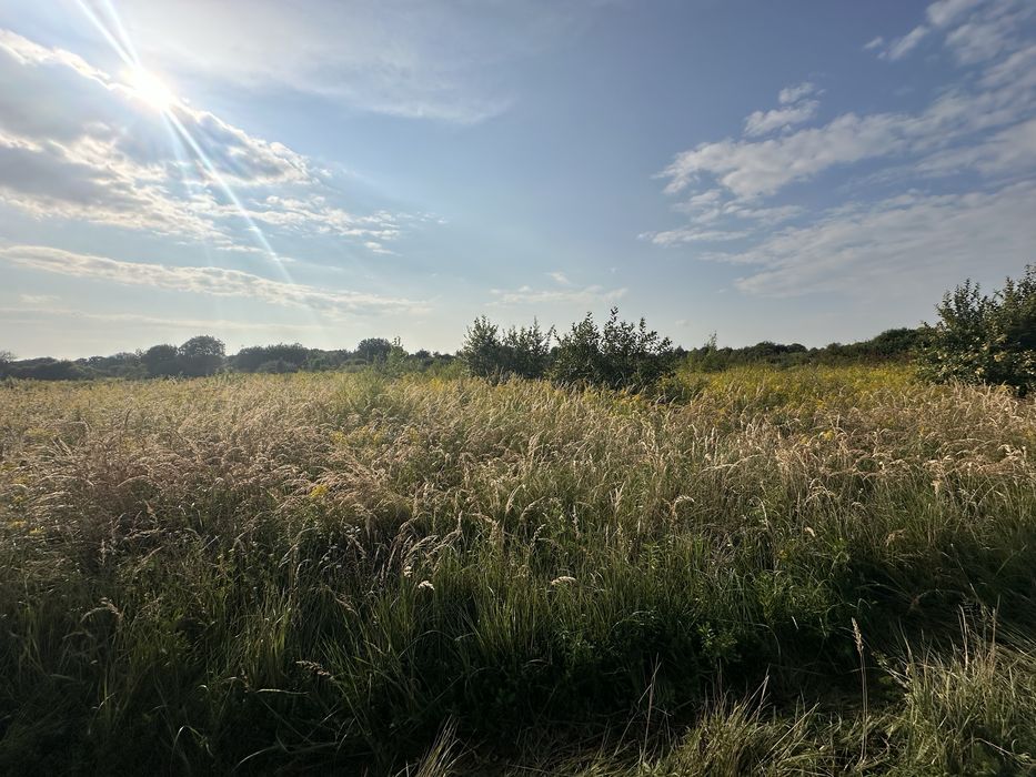 Розчищення ділянок, Вирівнювання землі.