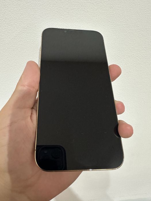 iPhone 13 Pro Max 256GB
