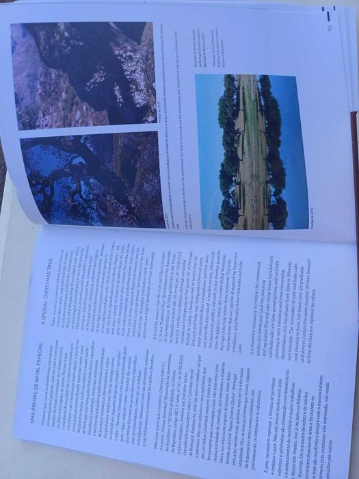 Livro – Natal Verde de- 30 anos de Postais de Jorge Paiva