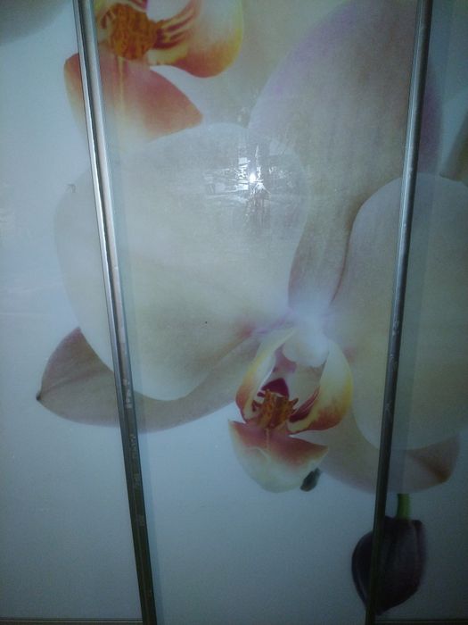 Срочно! Шкаф купе с рисунком