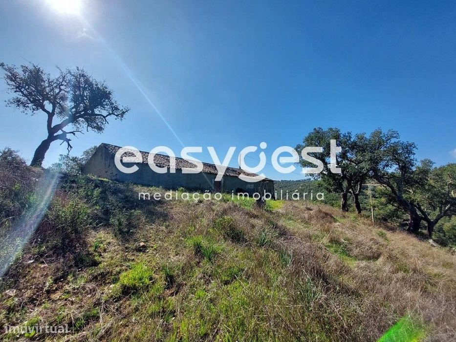 Monte para recuperar no concelho de São Martinho das Amoreiras