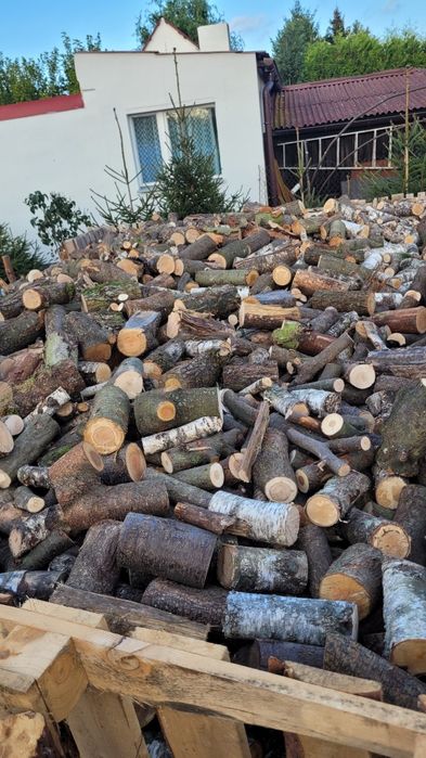 Drewno opałowe suche i mokre  różne  gatunki