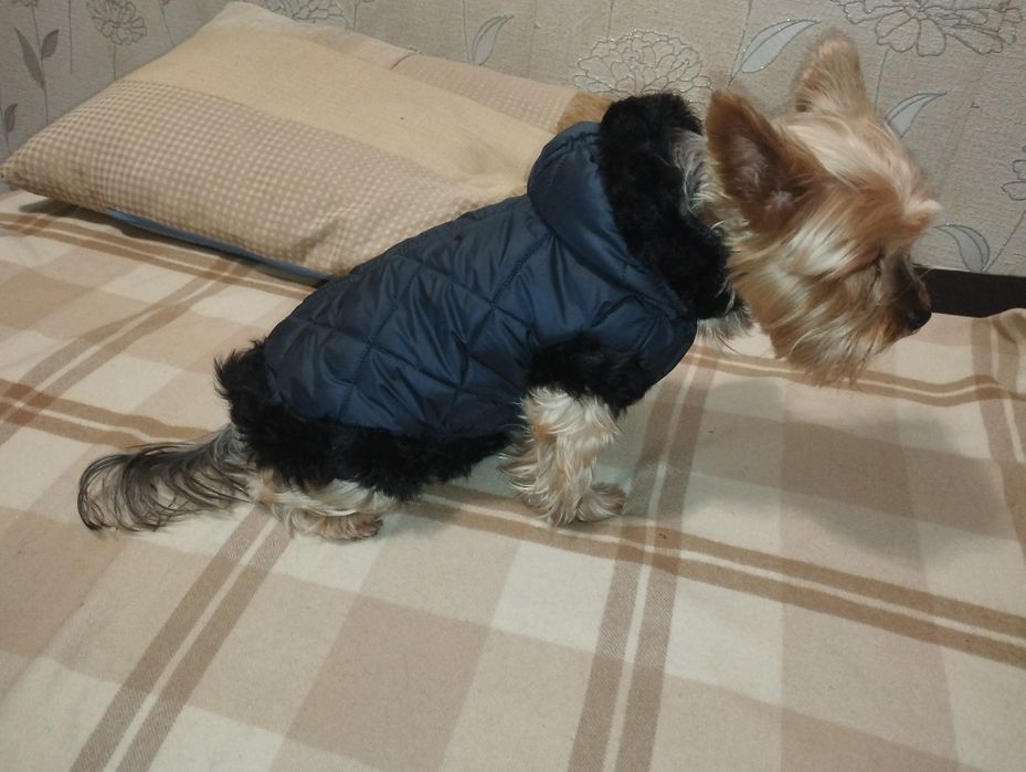 Продам одежду для мелких пород собак