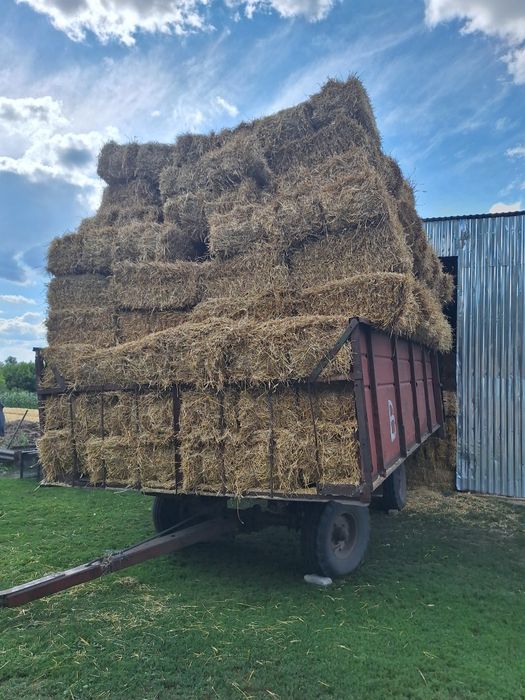 Продаю Пшеничну Солому в тюках з доставкою. Ціна 80 грн. за тюк. Можливий Самовивіз.