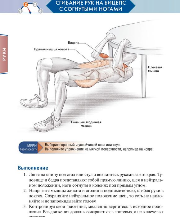 Анатомія фізичних вправ