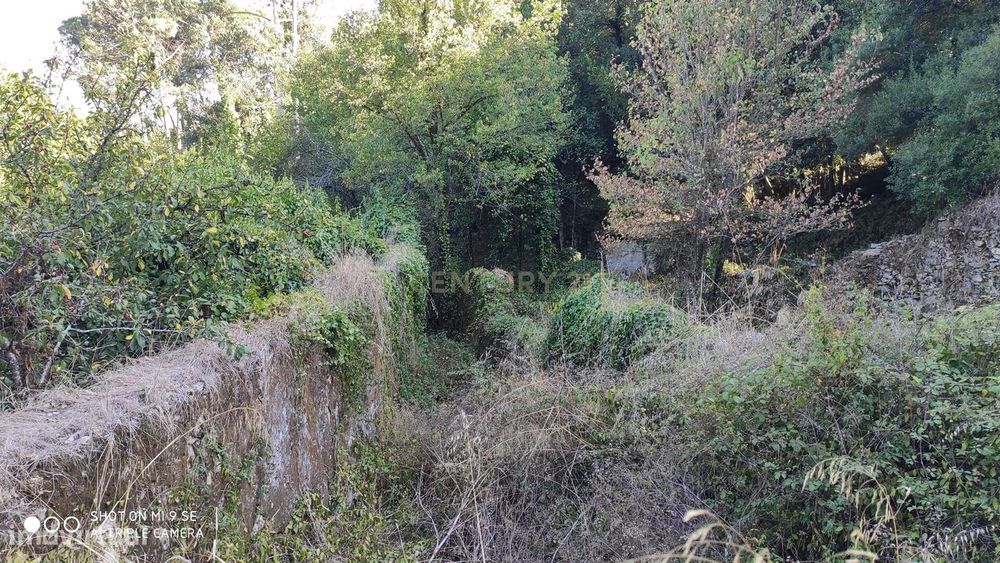 Terreno em Maceira para construção