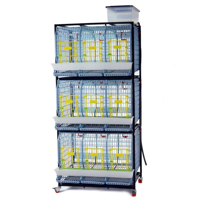 Klatka dla Kur - 3 Poziomowa - Wys. 60 cm
