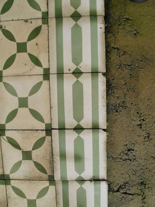 Mosaicos hidráulicos verdes e brancos