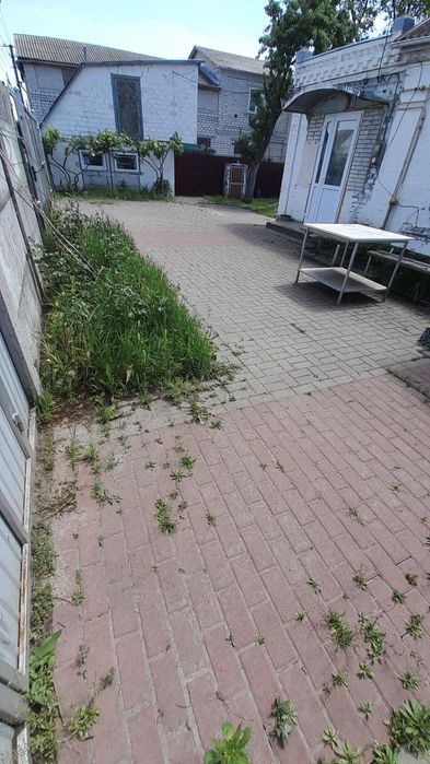 Здається будинок для працюючих людей.Велика Димерка.Броварський р-н.