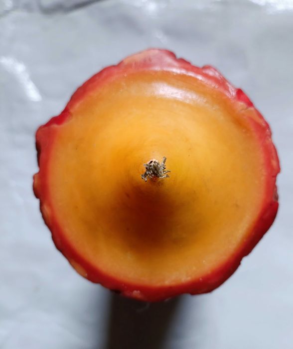 Велика (1кг) декоративна свічка у старовинному стилі