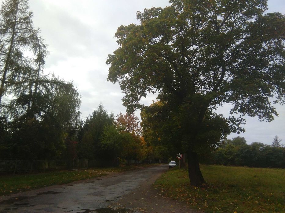 Działki budowlane Barlinek / Mostkowo