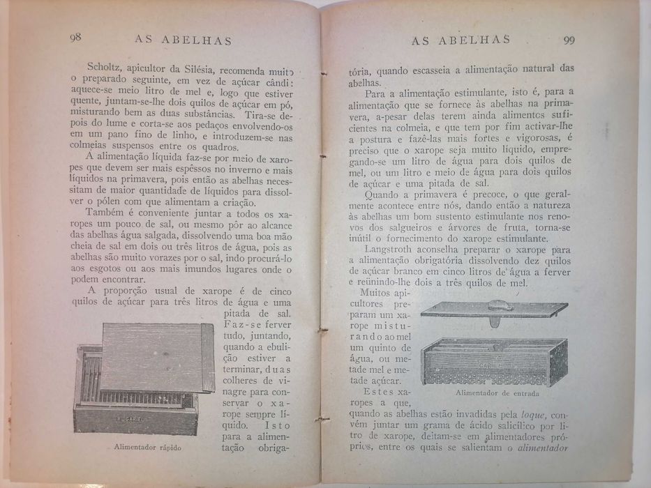 As Abelhas de Eduardo Sequeira