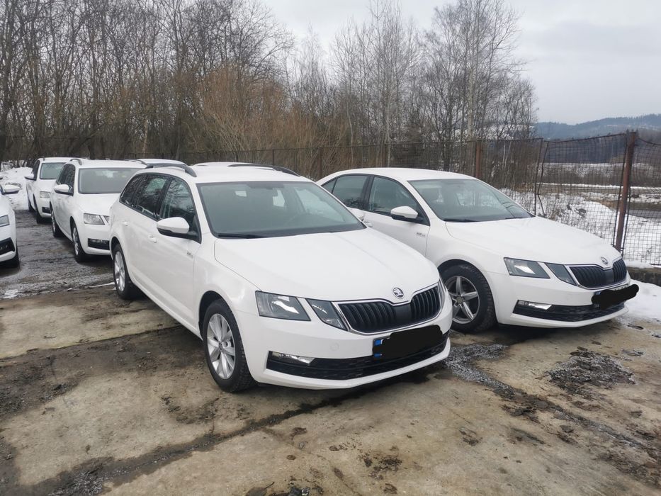 Tani Wynajem dlugoterminowy samochodów wypożyczalnia busow winda 7osob