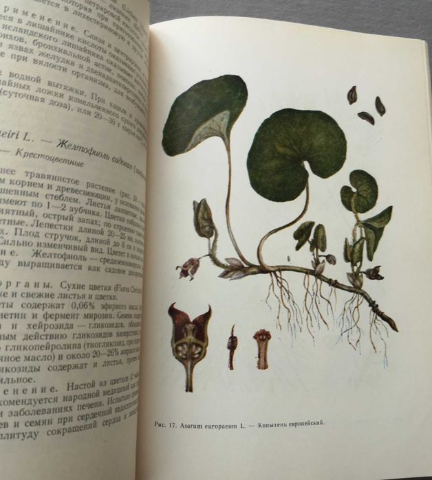 Фитотерапия. Лечение лекарственными травами. Издательство София, 1970