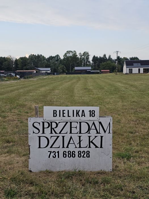 Arciechów, Działka 980 m², 35km od Warszawy - Widok 4